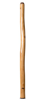 Tristan O'Meara Didgeridoo (TM358)